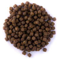 Grower-13 EF floating complete fish feed for carp by Alltech Coppens