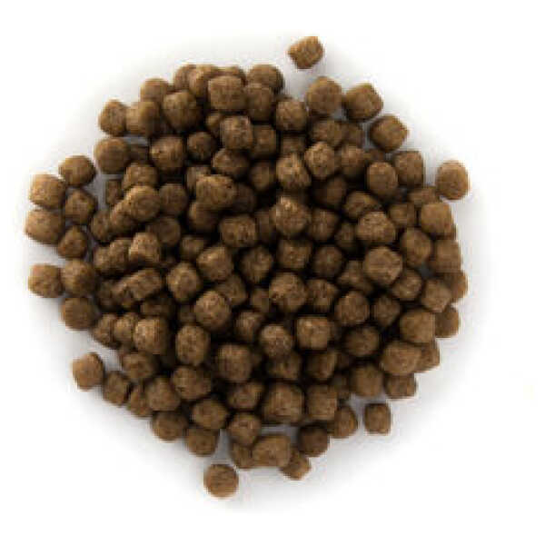 Grower - kvaliteetne karpkalade sööt Alltech Coppensilt