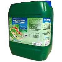 Antyglon Pond Plus is an effective agent that helps prevent algae growth in ponds within few days. The product also has antifungal, antibacterial, and antiprotozoal properties. Completely harmless to fish and plants in the pond.