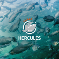 Forellide sööt Hercules on välja töötatud Coppensi ja Finnoaqua koostöös