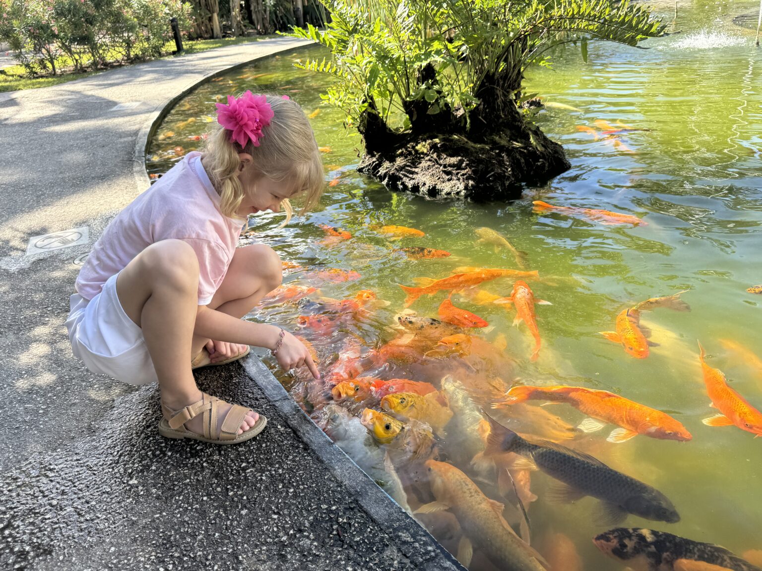 Kui sind huvitab töö kaladega, praktiline tegemine ning uute lahenduste loomine, tule meile tööle või praktikale!