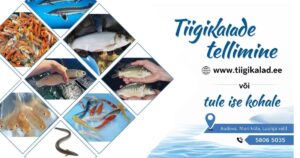 Tiigikalade müük