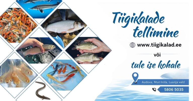Tiigikalade müük
